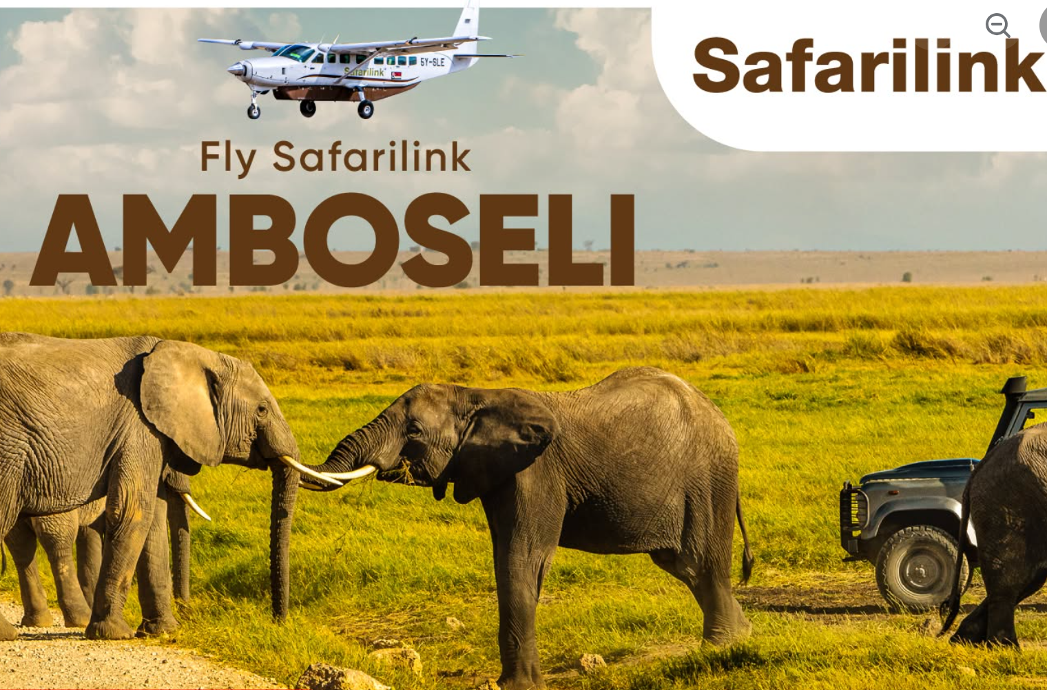 Fly Safarilink to Amboseli — elephants on the plains beneath a Cessna Caravan